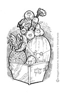 Activity Fruit Group Page - A Maggid's Market Audio-Books